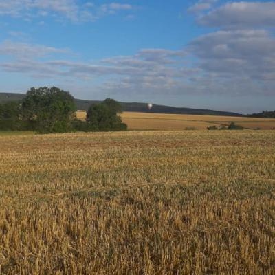 Von Holzhausen über die Weser bìs nach Güntersen