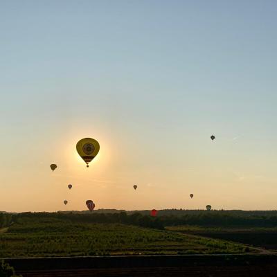 Barnstorfer Ballonfahrer Festival